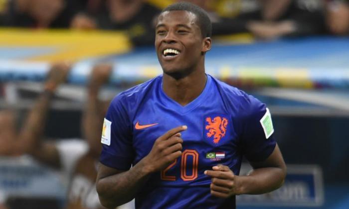 Georginio Wijnaldum将纽卡斯尔医疗鹊起，魔法同意PSV eindhoven的1400万英镑